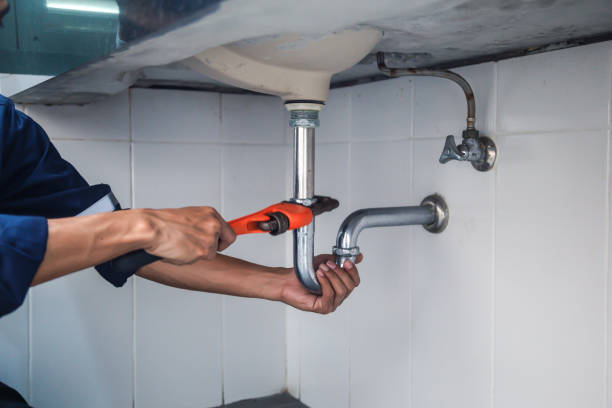 Best Plumbing Inspection Services  in Meraux, LA